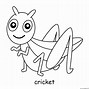 Image result for Cricket Colouring Pics