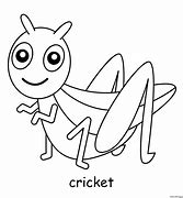 Image result for Cricket Insect Coloring Page