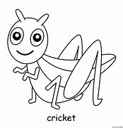 Image result for Cricket Coloring Pages Adult