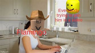 Image result for Roblox Memes Flamingo