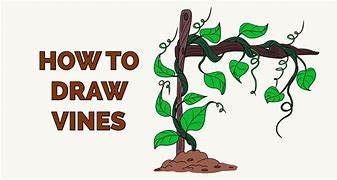 Image result for How to Draw Esay Vines