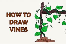 Image result for Vine Drawings Sketches