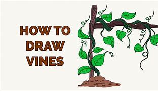 Image result for Vines Base Drawing