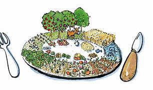 Image result for Local Food Cartoon