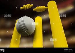 Image result for Wickets Hitting