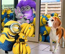 Image result for Eh No Minion