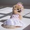 Image result for Cutest Dog World Pomeranian