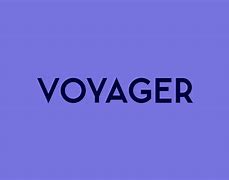 Image result for Voyager Monitor Issues