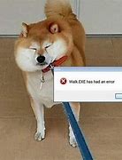 Image result for Shiba Meme