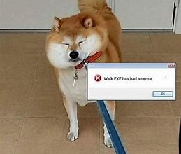 Image result for Shiba Inu Dog Meme