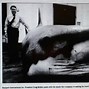 Image result for Jaws Prop Found