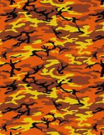 Image result for Performace Hoodie Camo