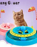 Image result for Toys for Kittens