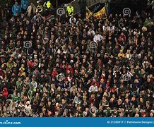 Image result for Rugby World Cup Crowd Photo