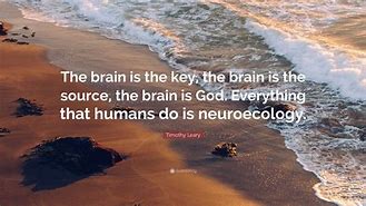 Image result for Quotes Abut the Brain