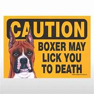 Image result for Funny Boxer Dog