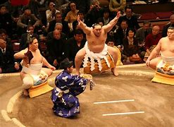Image result for Sumo Wrestling Orthographic