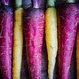 Image result for Different Carrots