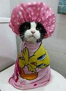 Image result for Kittens Wearing Clothes