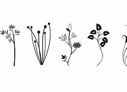 Image result for Plant Vector Free