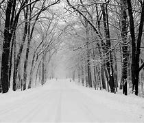 Image result for Animated Winter Nights