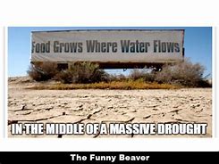 Image result for Drought Broken Meme