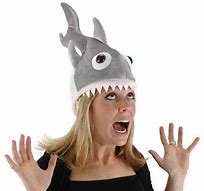 Image result for Funny Looking Hats