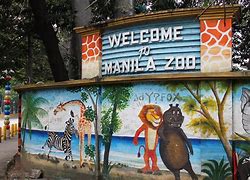 Image result for Zoo Theme Room