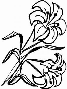 disegno fiori l usignolo disegni fiori da colorare disegno fiori l usignolo disegni fiori da colorare