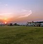 Image result for Cricket Academy Near Me