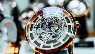 Image result for Skeleton Watches