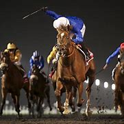 Image result for Dubai World Cup Night