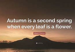 Image result for The Fall Albert Camus Quotes