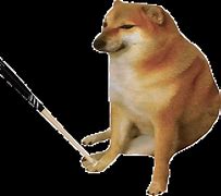 Image result for Doge Meme Blank
