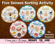 Image result for 5 Senses Science Kit