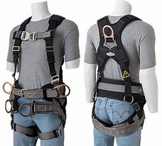 Image result for Climbing Safety Harness Full Body