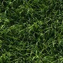 Image result for High Resolution Ground Texture