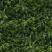 Image result for Green Texture Seamless