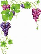 Image result for Wine Grape Vine Clip Art