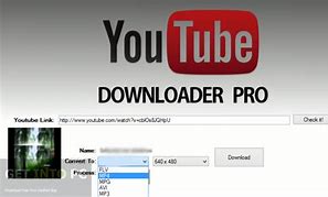 Image result for Pro YouTube Downloader