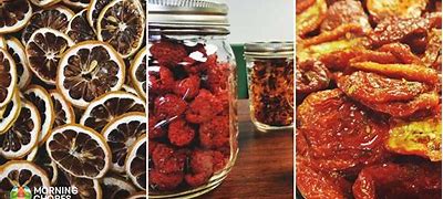 Image result for Food Dehydrator Recipes