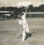 Image result for Dismissal Cricket