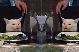 Image result for Cat On Table Meme Template