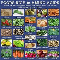 Image result for Vegetarian Protein Sources List