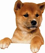 Image result for Dog Emoji Clip Art