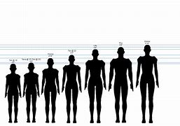 Image result for 6 Feet 2 Inches