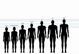 Image result for Character Height Comparison