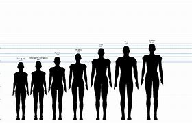 Image result for Human Height in Cm