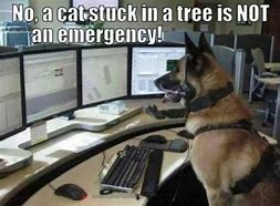 Image result for Dog Call Center Meme