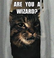 Image result for Wizard Cat Meme